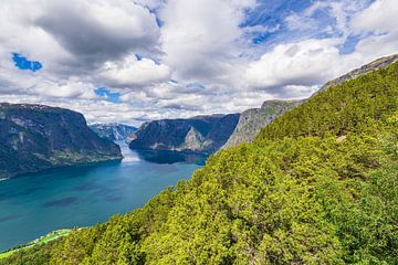Uitzicht vanaf Stegastein over de Aurlandsfjord in Noorwegen van Rico Ködder