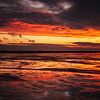Mer des Wadden incandescente. Coucher de soleil spectaculaire sur la mer du Nord. sur Pitkovskiy Photography|ART