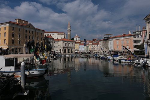Piran (Slovenia)