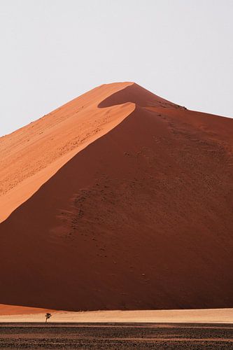 Zonsondergang in de Sossusvlei, Namibië