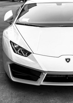 Lamborghini White Cool by Vicky Hanggara