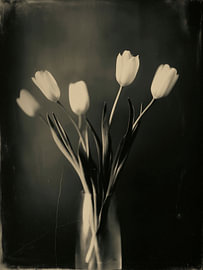 Tulipes dans un vase n° 6 sur Studio Silver & Sepia
