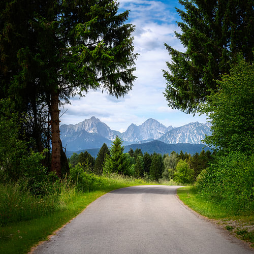 Bosweg aan de Forggensee met uitzicht op de Alpen