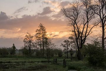 Zonsopkomst Zouweboezem. Sunrise Zouweboezem Netherlands von Helma de With