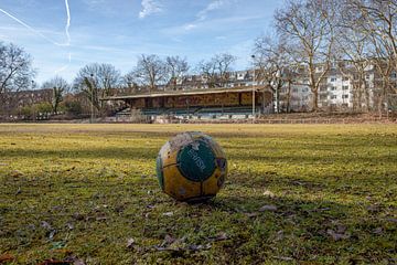 Wiesenpark-Stadion von Martijn