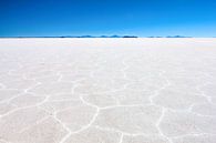 De zoutwoestijn in Bolivia bij Uyuni. Wout Kok One2expose van Wout Kok thumbnail