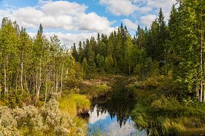 Zweeds landschap met water van Geertjan Plooijer