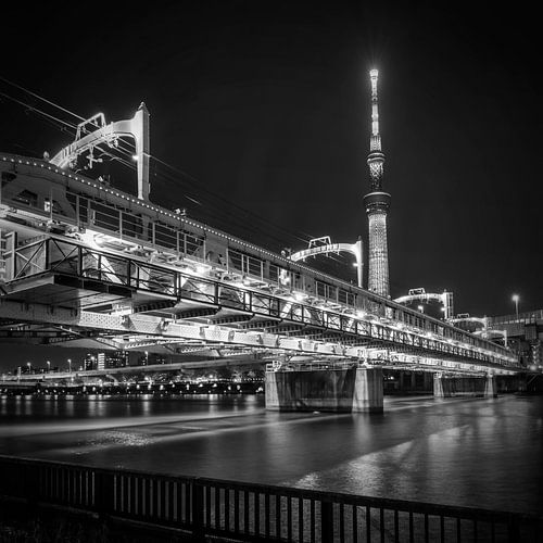 Verlichte Tokyo Skytree met Sumida River Walk | monochroom