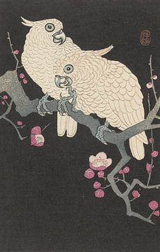 Two Cockatoos and Plum Blossom from Ohara Koson