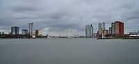 zicht op Rotterdam van Nico Dam thumbnail
