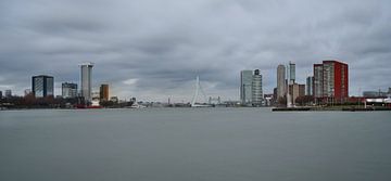 zicht op Rotterdam van Nico Dam