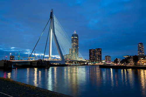 Erasmus Bridge Rotterdam
