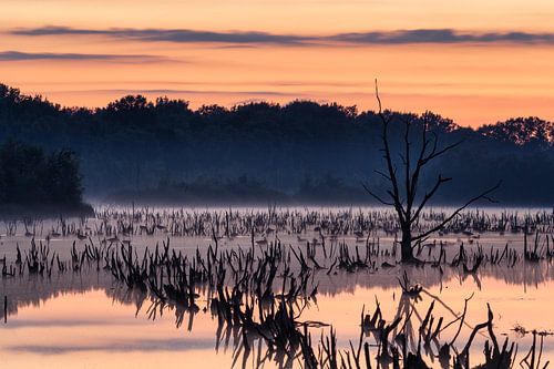 Sonnenuntergang im marianischen Spiel mit Nebel über dem Wasser