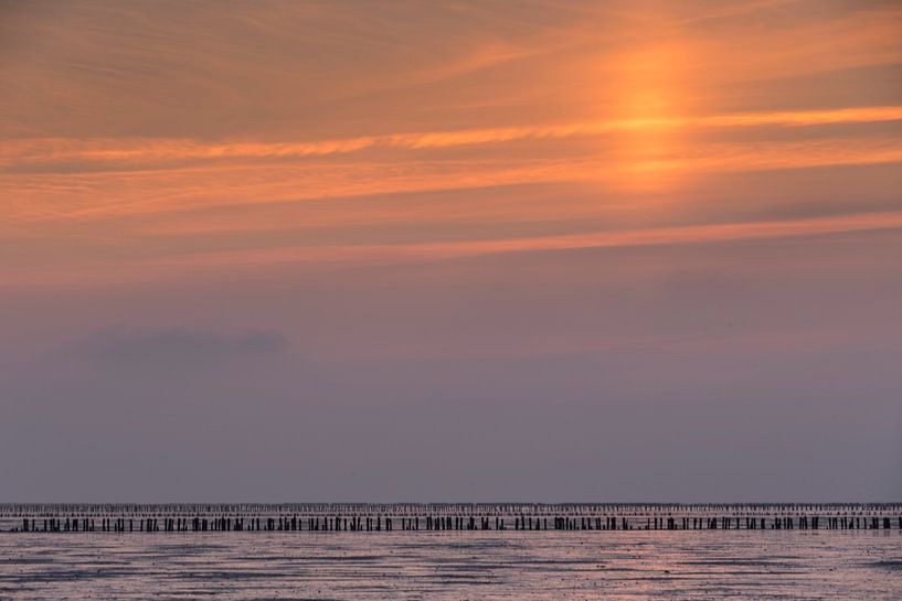 Zonnesteek von Arthur de Groot