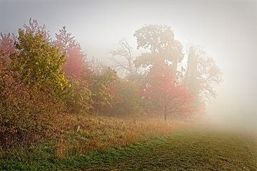 Nebliger Sonnenaufgang an einem kalten Herbsttag von Rob Boon
