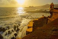Fortaleza de São Tiago, Funchal van Michel van Kooten thumbnail