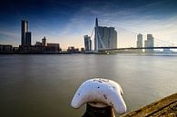 skyline van Rotterdam langs de Maas met  de karakteristieke Erasmusbrug en de moderne architectuur o van gaps photography thumbnail
