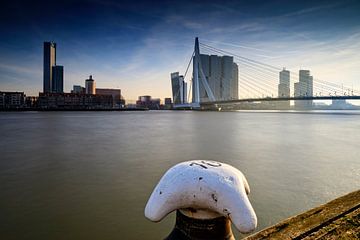 skyline van Rotterdam langs de Maas met  de karakteristieke Erasmusbrug en de moderne architectuur o van gaps photography