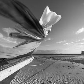 Koh Ngai in de ochtend - tussen wind, geloof en getijden van Walter G. Allgöwer