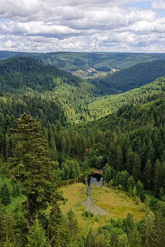 Ellbachseeblick dans le nord de la Forêt-Noire sur Gisela Scheffbuch