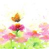 Schmetterling und pinkfarbene Zinnien Aquarellgemälde von Karen Kaspar