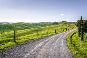 Route of the Via Francigena in Crete Senesi. Tuscany by Stefano Orazzini