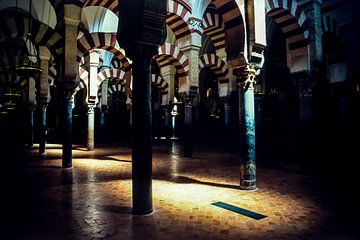 Mezquita in Cordoba Spanje van Dieter Walther
