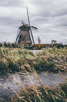 Windmühle in Kinderdijk