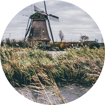 Windmolen in Kinderdijk