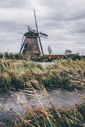 Windmill in Kinderdijk