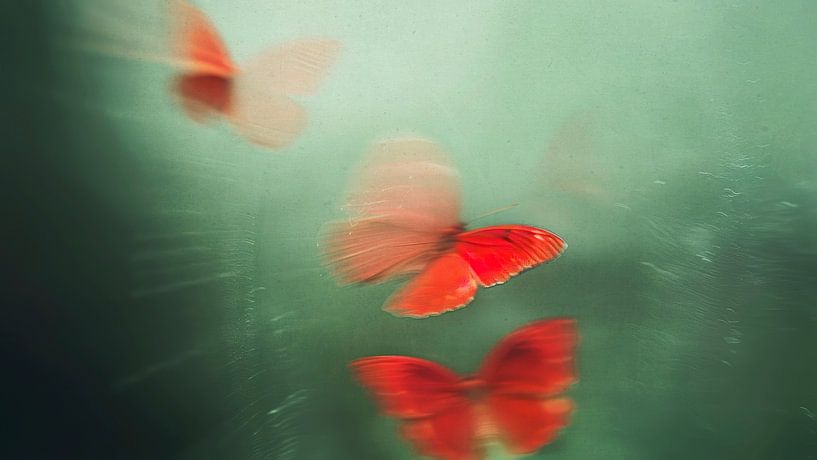 The Red Butterflies von Treechild