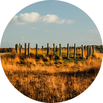 Grafheuvels op de Regte Heide van Susan van der Riet