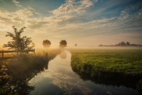 Niederländische Landschaft mit Morgennebel