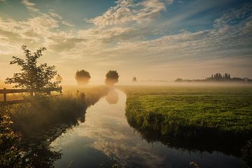 Dutch landscape with morning fog by Ilya Korzelius