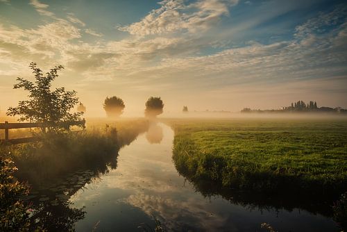 Dutch landscape with morning fog