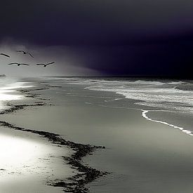 Die Vögel über dem Nachtfeuer |: Wo Dunkelheit und Silber sich küssen von Karina Brouwer