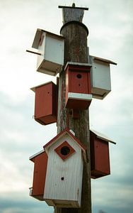 Vogelhaus-Turm – Rot & Weiß vor sanftem Himmel