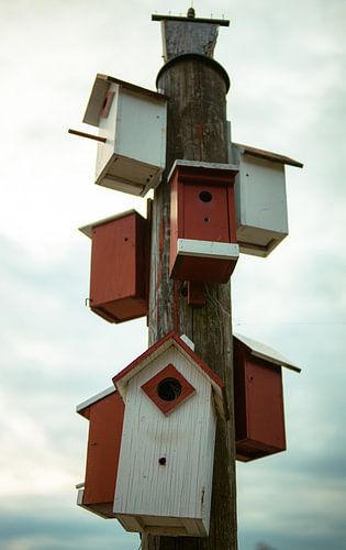 Birdhouse Tower – Red & White Against a Soft Sky