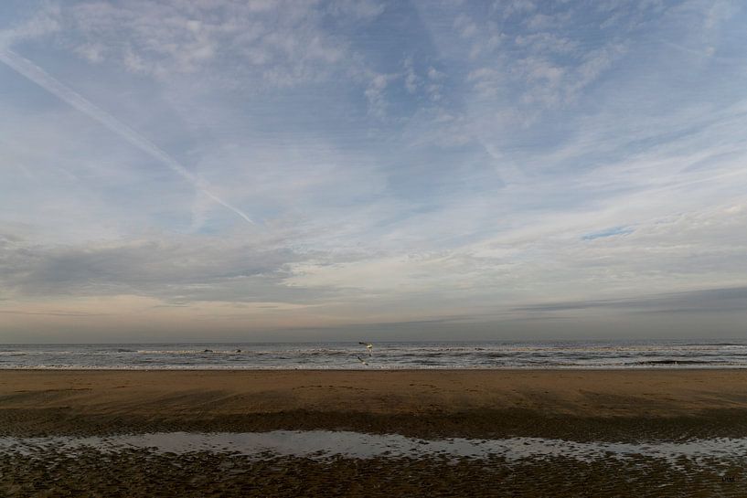 Strand an einem bewölkten Tag im Winter von Lieke van Grinsven van Aarle