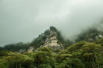 Bergwand in de mist in de Colombiaanse jungle van Parque Natural Chicaque van Thijs van Laarhoven
