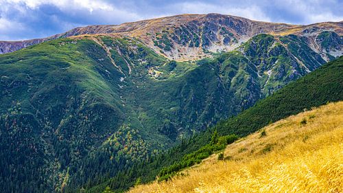 Bergen van Iezer Papusa in Roemenië