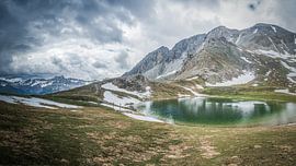 AT THE IZOARD P' by Alain Gaymard