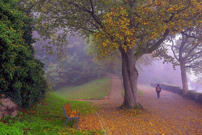 Herbstmorgen in Freiburg von Patrick Lohmüller