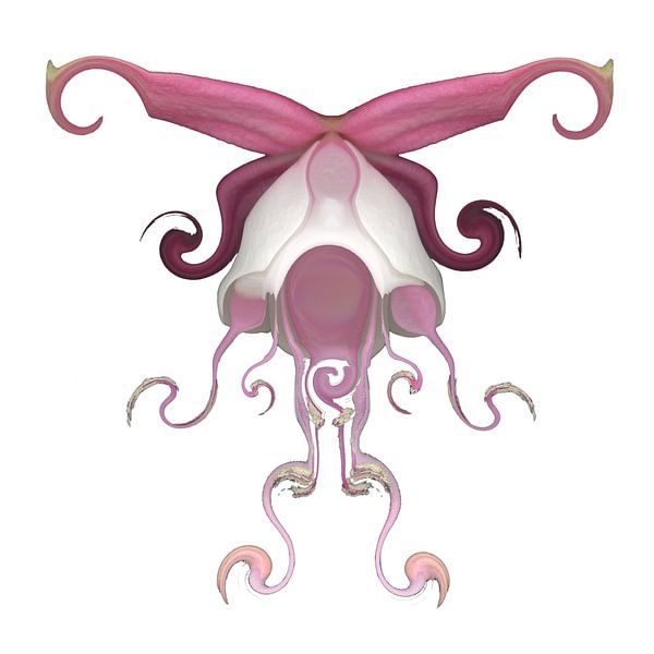 Art Nouveau-011 by Pim Westerweel