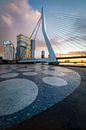 Erasmus Bridge Noordereiland - Rotterdam by Prachtig Rotterdam thumbnail