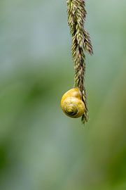 On se retrouve entre nous sur Caroline Pleysier