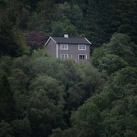 Sereen Noors huis in Mostraumen Fjord van Ylenia Di Pietra