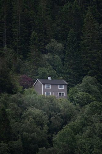 Sereen Noors huis in Mostraumen Fjord
