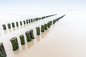 Wellenbrecher Strand Vlissingen