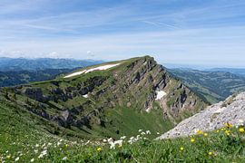 Hiking between Hochgrat Ridge and Rindalphorn - Scenic Alpine Landscape in Nagelfluhkette Bavaria von Sebastian Czech